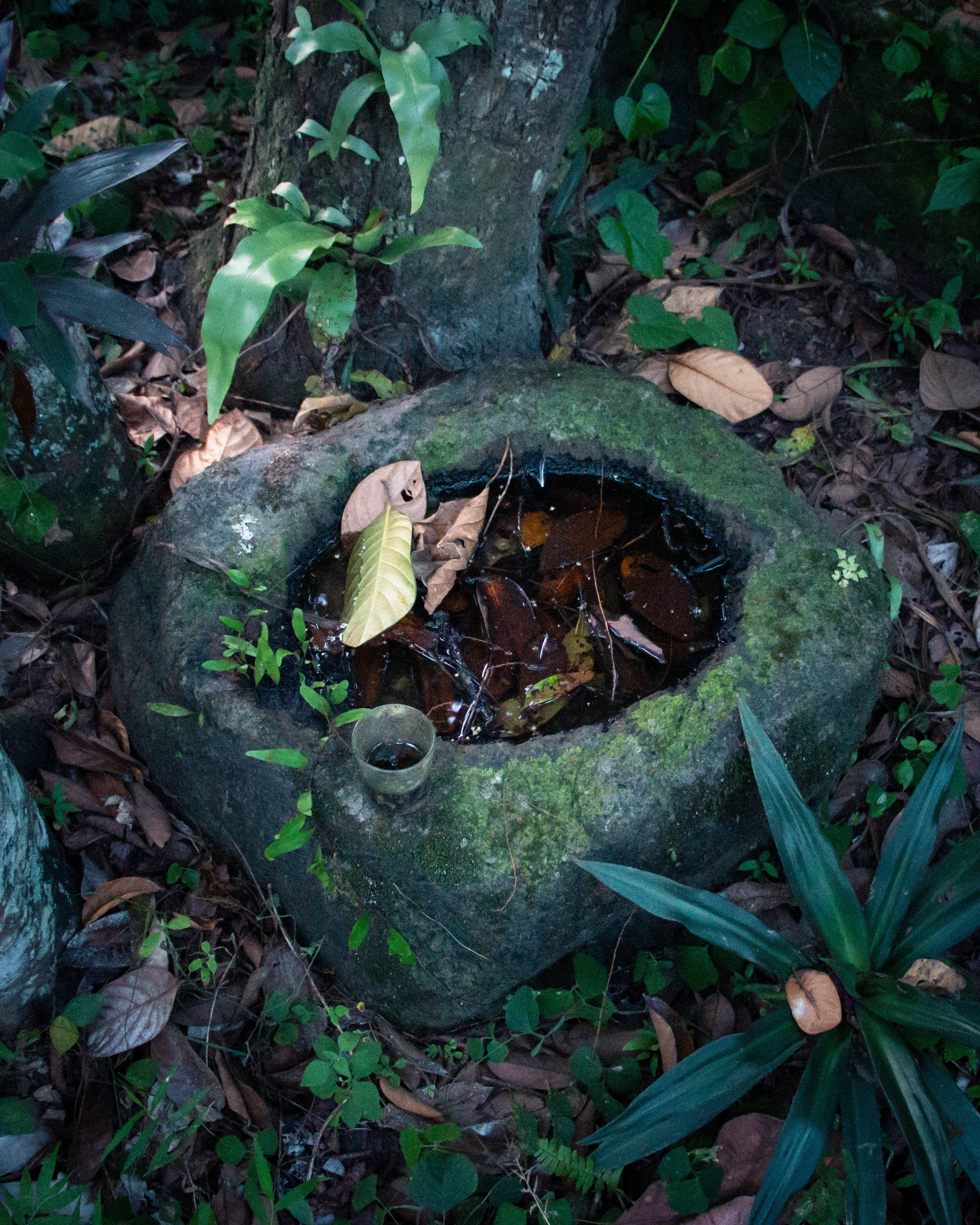 Tenged Watu (Lesung Batu)